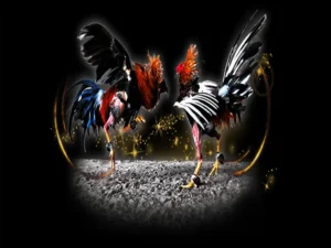 Cách Chơi Đá Gà Sabong 99OK Chi Tiết Và Mẹo Đặt Cược Chính Xác