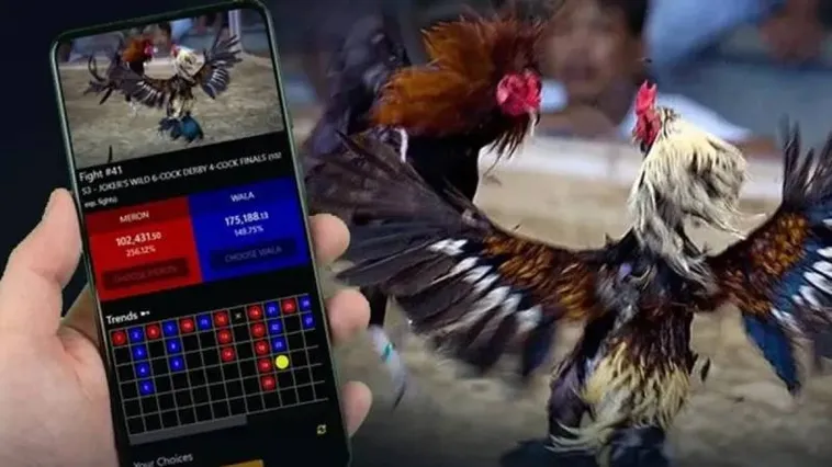 Trải Nghiệm Đá Gà 99OK Sân Chơi Giải Trí Đỉnh Cao Dành Cho Tín Đồ Cá Cược